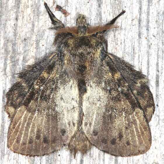 a885-Sumaco-Lodge-Ecuador-10-10-22