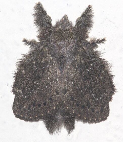 a890-Sumaco-Lodge-Ecuador-10-9-22