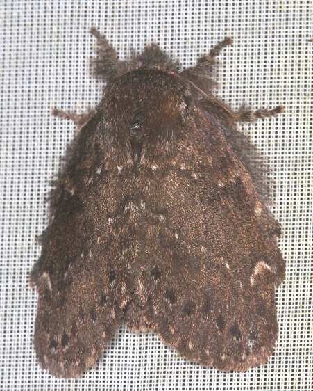 a893-Sumaco-Lodge-Ecuador-10-10-22