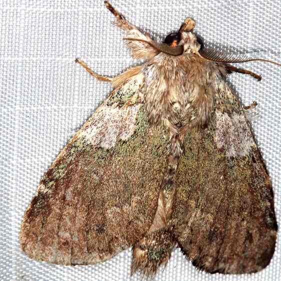 a897-Sumaco-Lodge-Ecuador-10-10-22