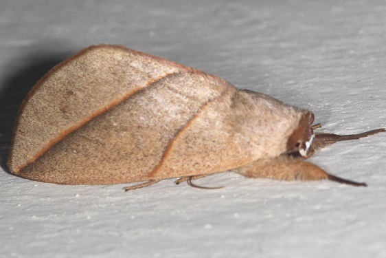 a899-Sumaco-Lodge-Ecuador-10-10-22