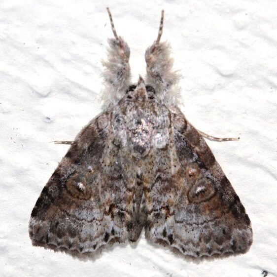 a901-Sumaco-Lodge-Ecuador-10-8-22