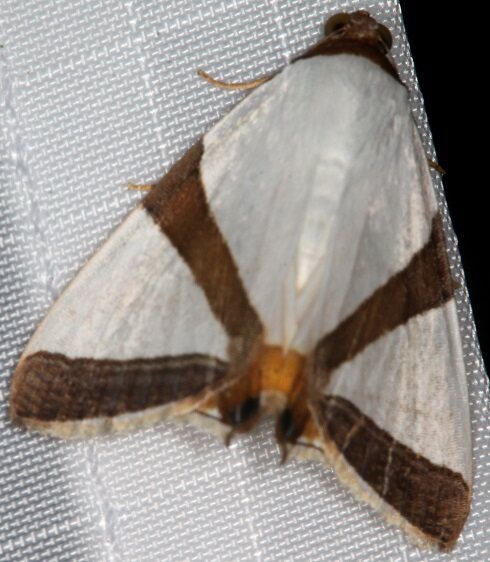 a929-Sumaco-Lodge-Ecuador-10-8-22