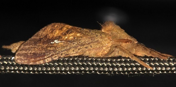 1.3-Sumaco-Lodge-Ecuador-10-10-22