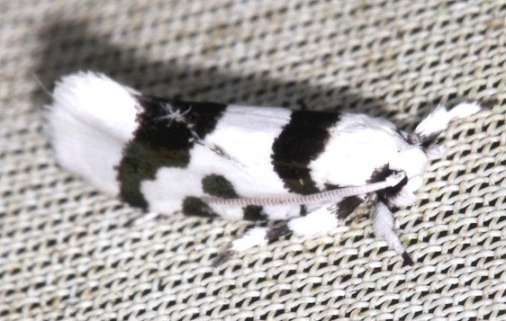 1.4.5-Sumaco-Lodge-Ecuador-10-9-22
