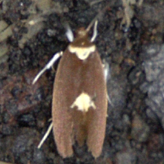 1.5-Sumaco-Lodge-10-9-22