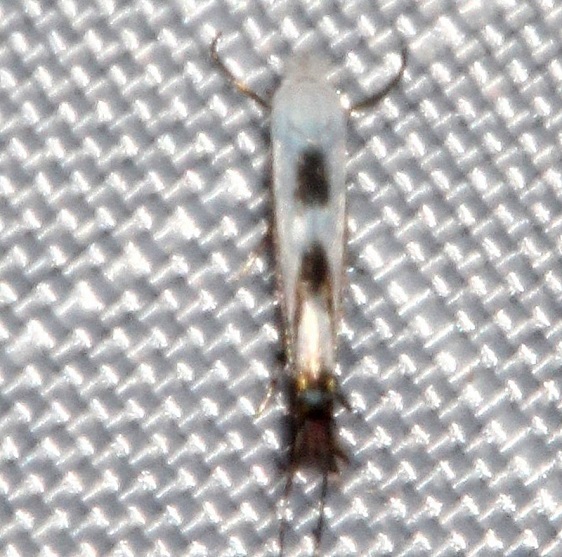 1.7-Sumaco-Lodge-Ecuador-10-9-22-1