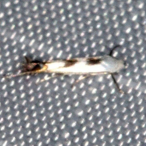 1.7-Sumaco-Lodge-Ecuador-10-9-22-2