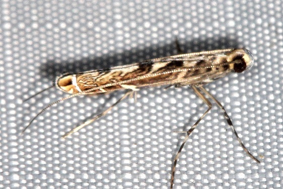 1.9-Sumaco-Lodge-Ecuador-10-9-22