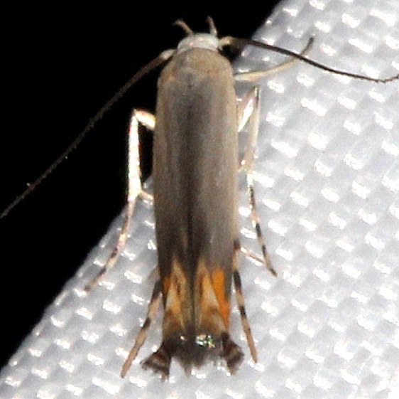 13-Sumaco-Lodge-Ecuador-10-9-22-1
