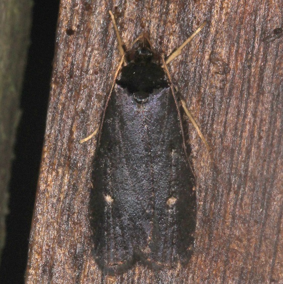 17.5-Sumaco-Lodge-Ecuador-10-10-22