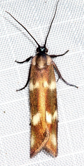 25-Sumaco-Lodge-Ecuador-10-10-22