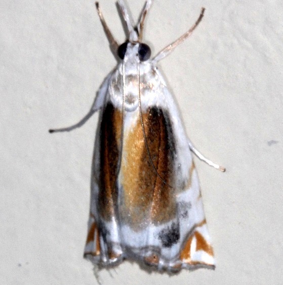28-Sumaco-Lodge-Ecuador-10-10-22