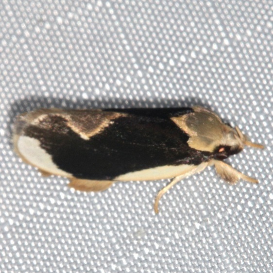 33-Sumaco-Lodge-Ecuador-10-10-22-1