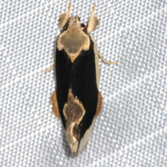 33-Sumaco-Lodge-Ecuador-10-10-22