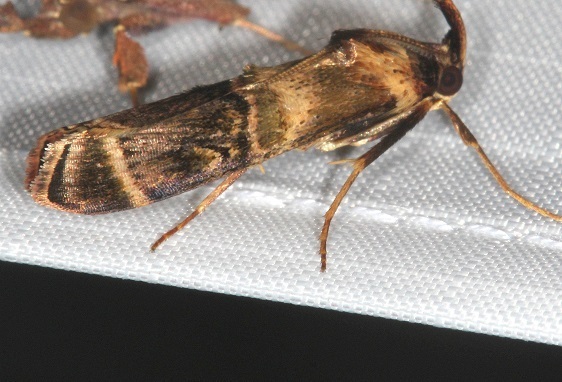 34-Sumaco-Lodge-Ecuador-10-9-22-1
