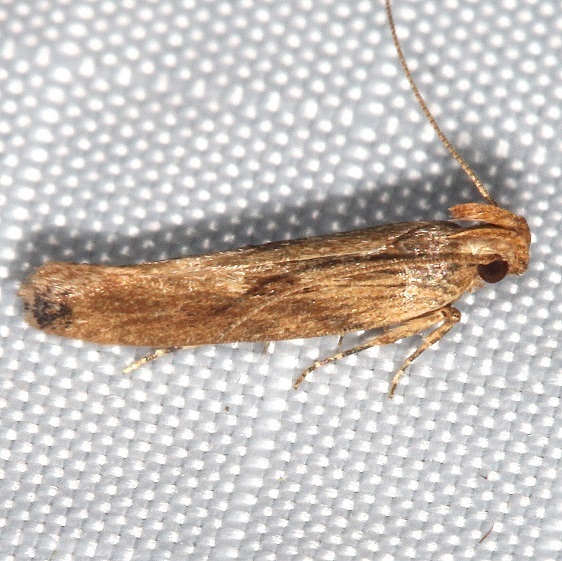 35-Sumaco-Lodge-Ecuador-10-9-22-1