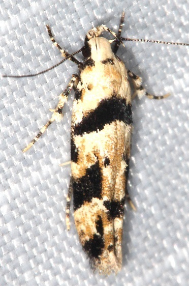36-Sumaco-Lodge-Ecuador-10-9-22