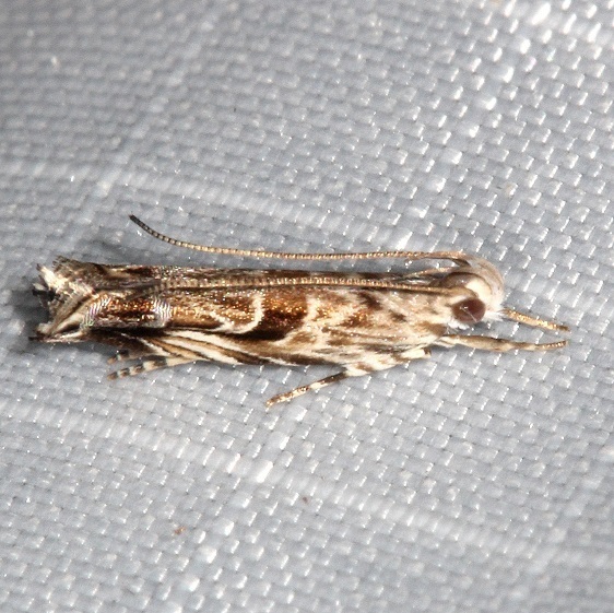 40-Sumaco-Lodge-Ecuador-10-10-22