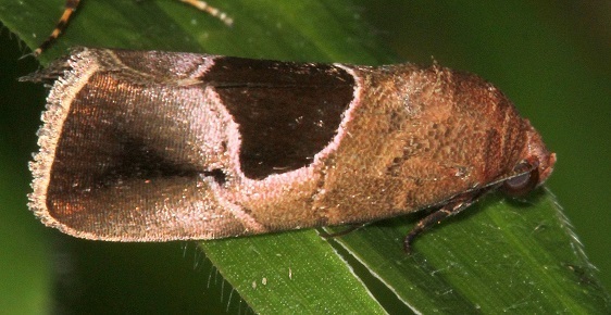 93-Terra-Luna-Lodge-Tena-Ecuador