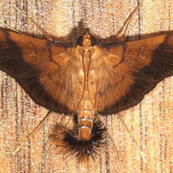 a162-Sumaco-Lodge-Ecuador-10-9-22