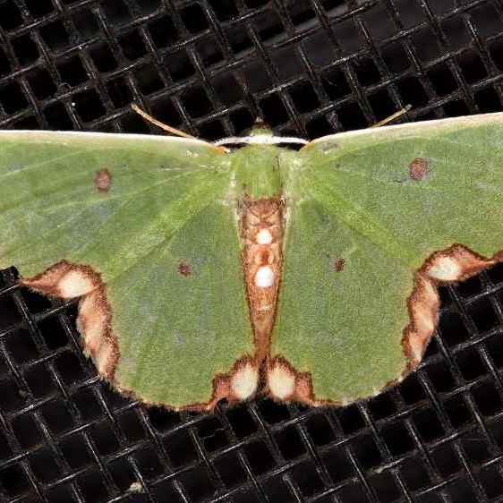 a505-Sumaco-Lodge-Ecuador-10-8-22