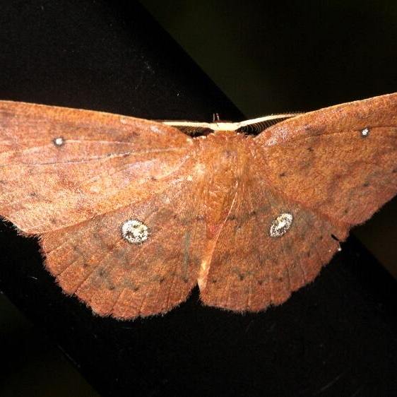 a559-Rio-Quijos-Eco-Lodge-Ecuador-10-13-22