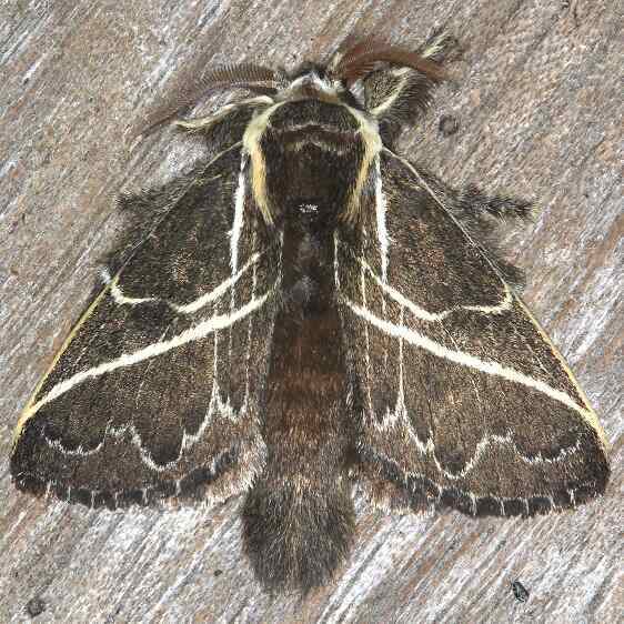 a871-Sumaco-Lodge-Ecuador-10-9-22