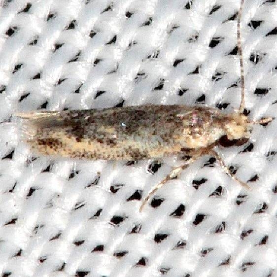 Unknown Collier Seminole St Pk Fl 3-1-14