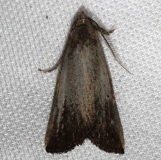 Unknown Kissimmee Prairie St Pk 3-16-13 (1)_opt