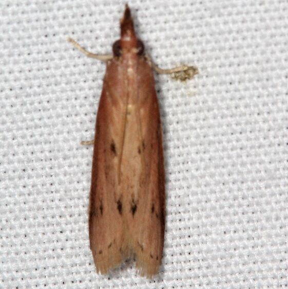 6068.97-Unidentified-Homosassas-BG-Bear-Island-Big-Cupress-Preserve-Fl-3-5-22-2